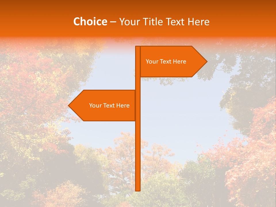 Forests Clipart PowerPoint Template