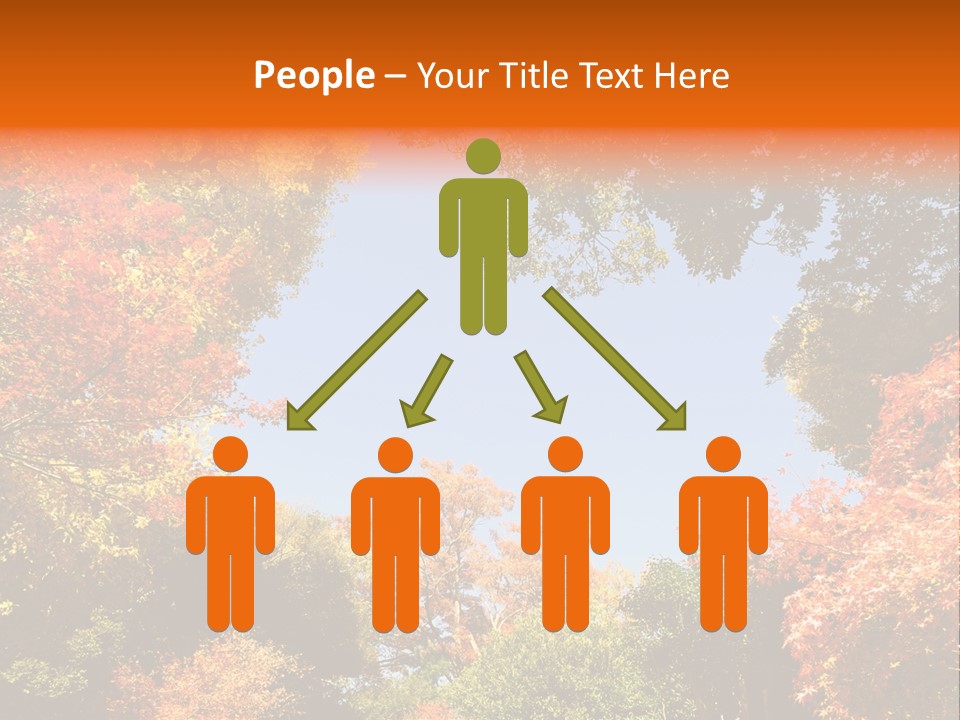 Forests Clipart PowerPoint Template