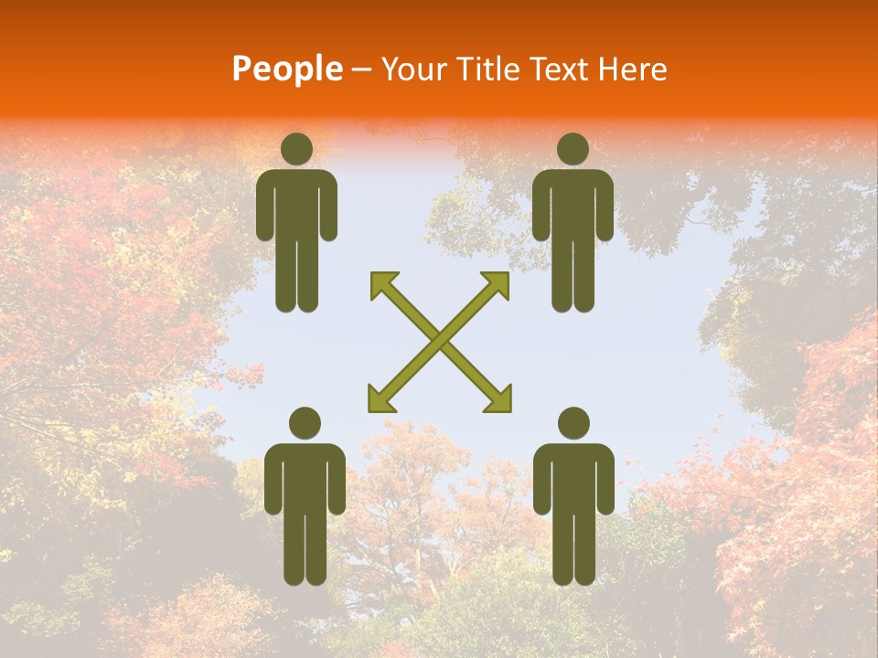 Forests Clipart PowerPoint Template