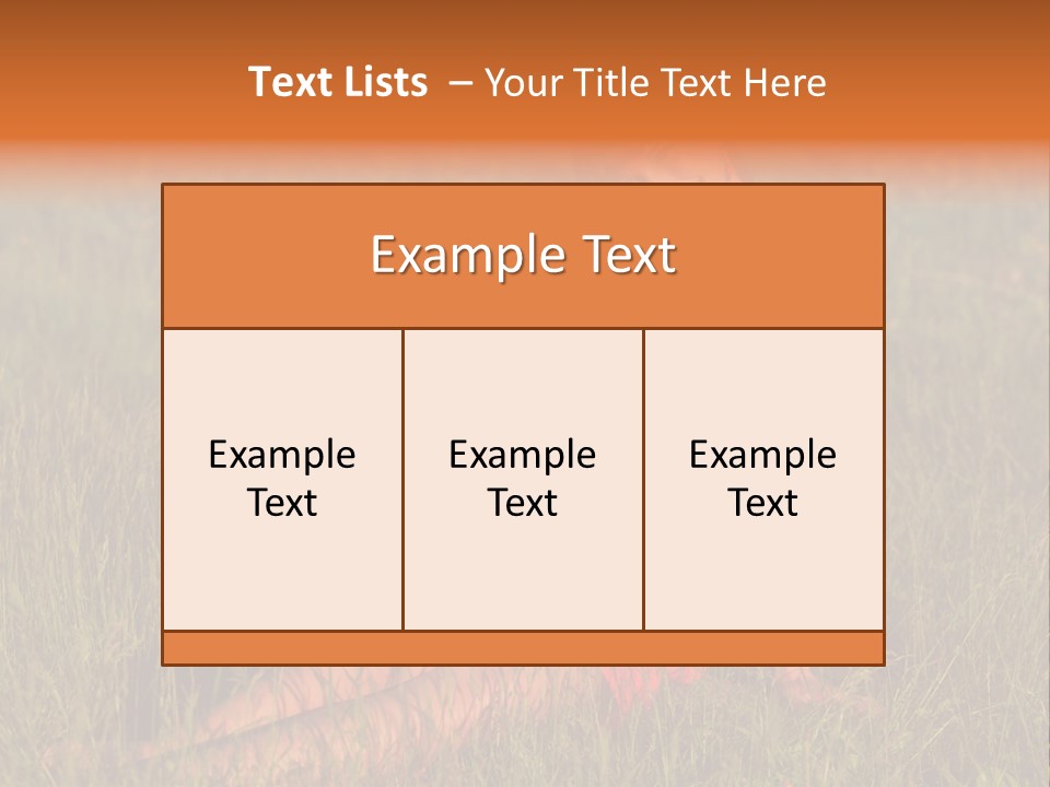 Free Wonder Smile PowerPoint Template