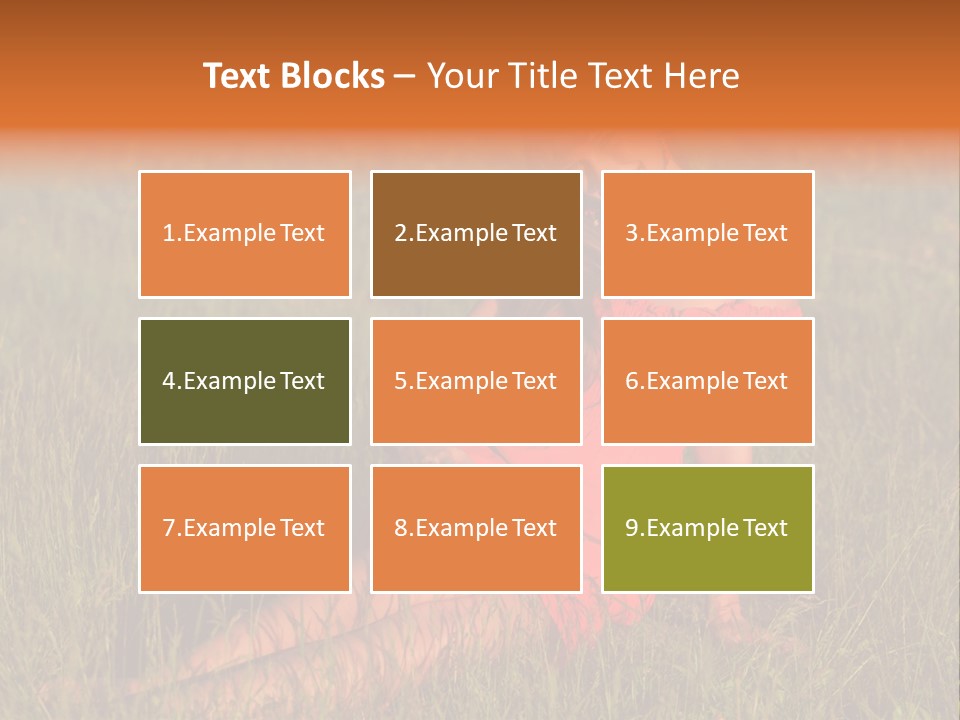 Free Wonder Smile PowerPoint Template