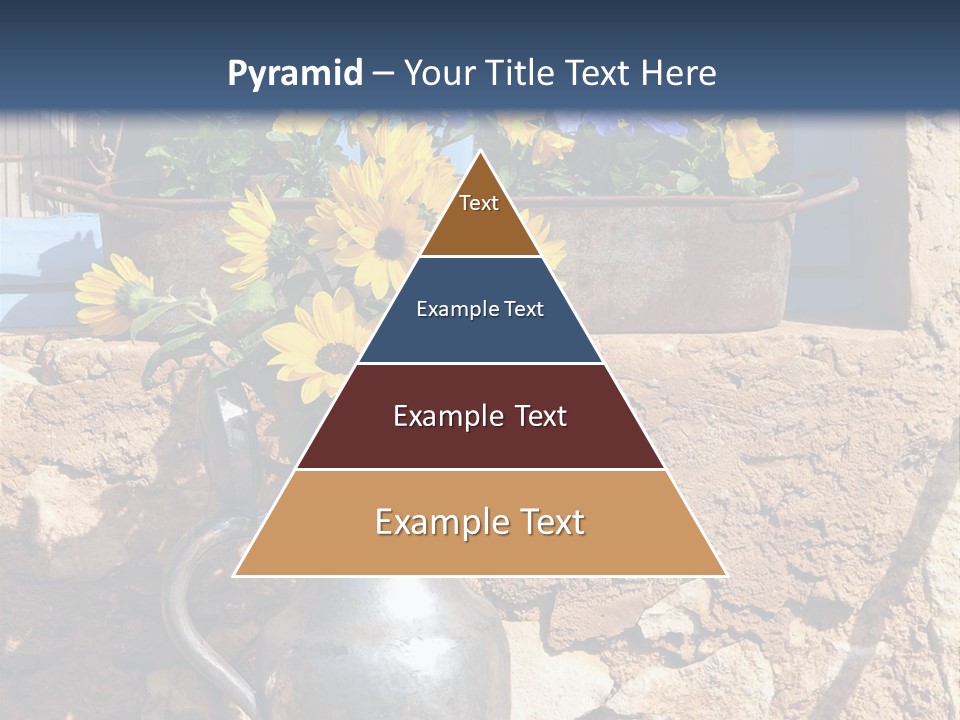 Ute Latendorf PowerPoint Template