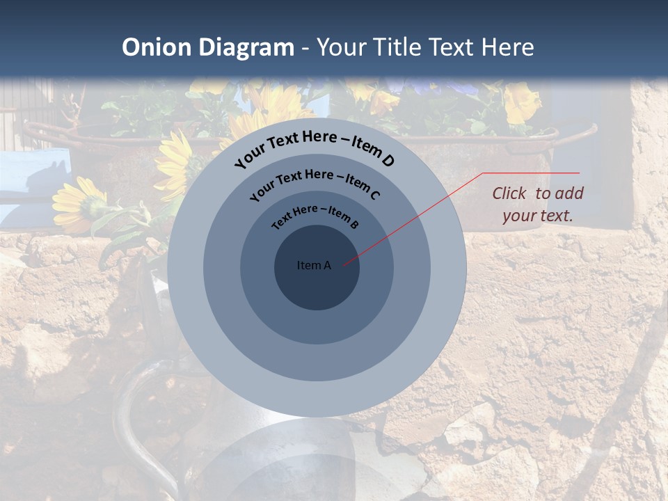 Ute Latendorf PowerPoint Template