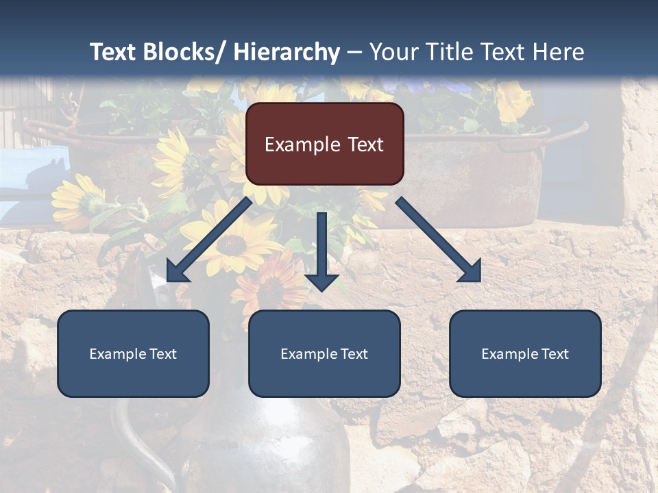 Ute Latendorf PowerPoint Template