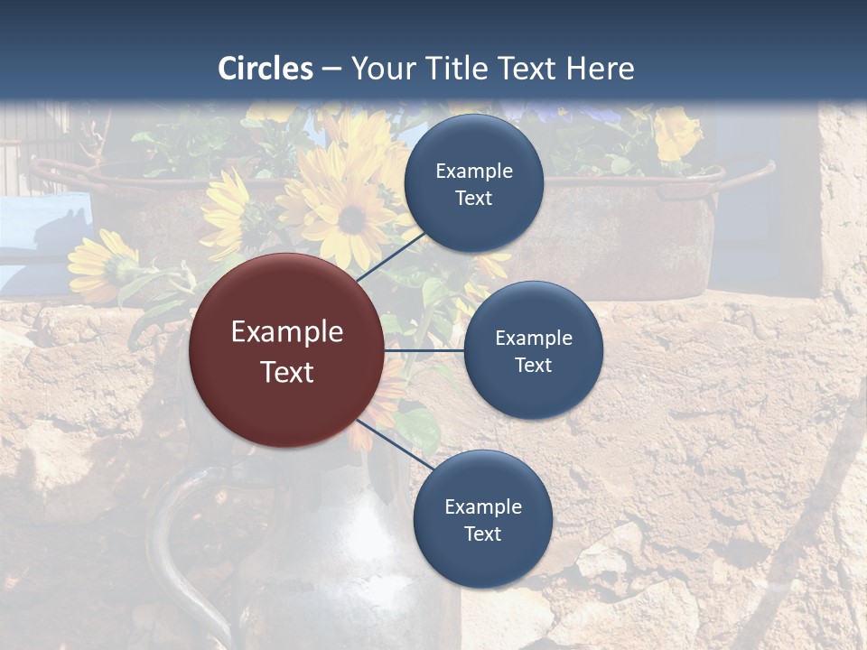 Ute Latendorf PowerPoint Template