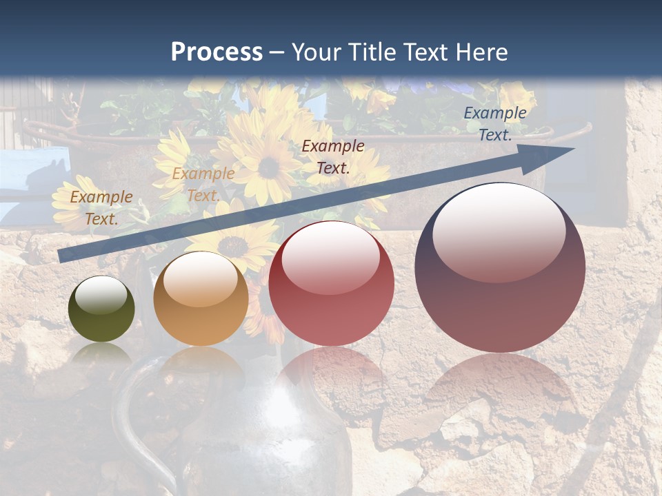 Ute Latendorf PowerPoint Template