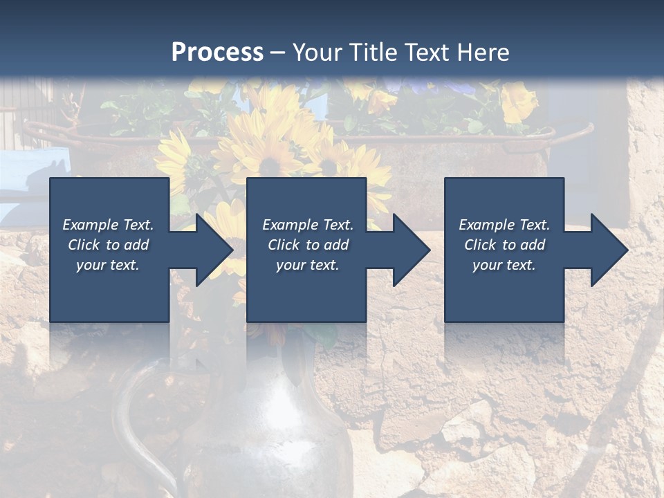 Ute Latendorf PowerPoint Template