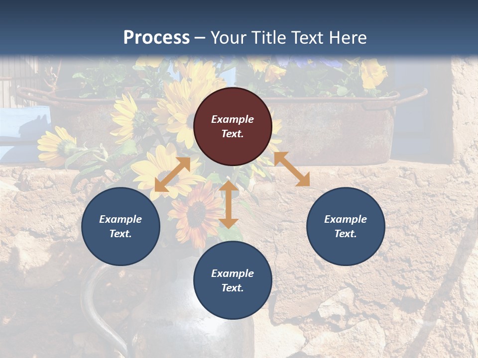 Ute Latendorf PowerPoint Template