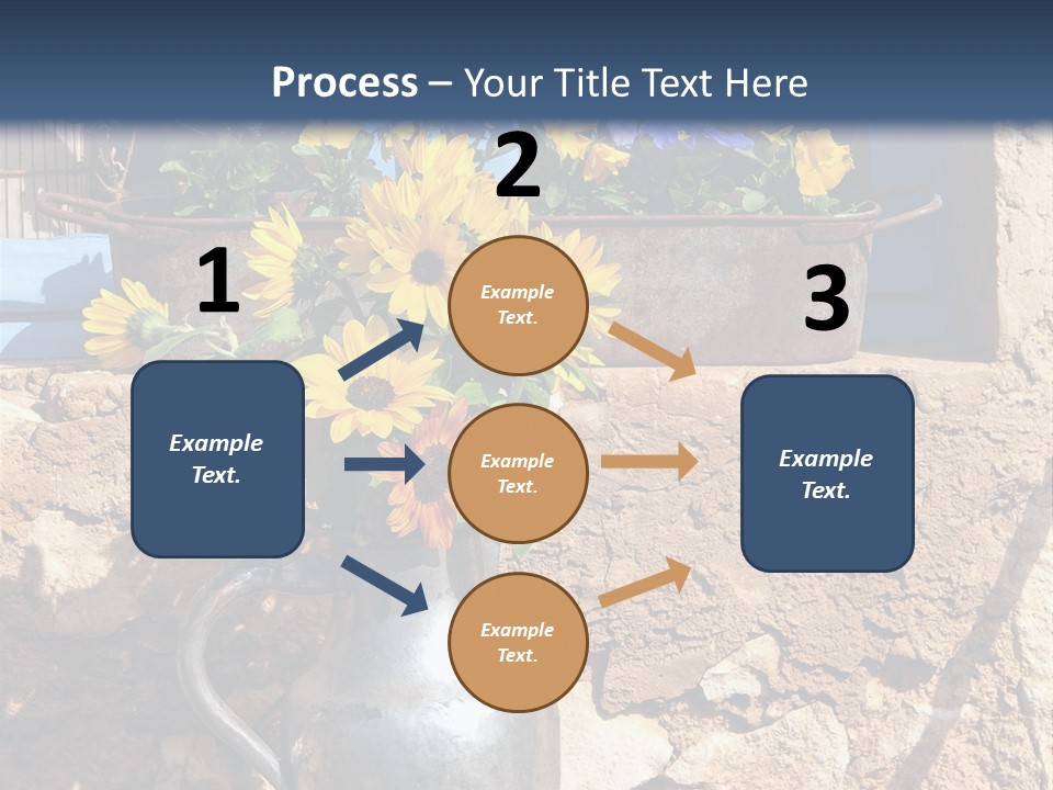 Ute Latendorf PowerPoint Template