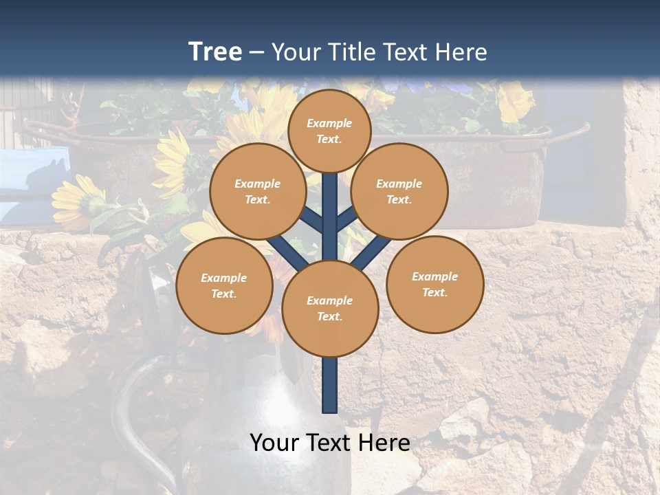 Ute Latendorf PowerPoint Template