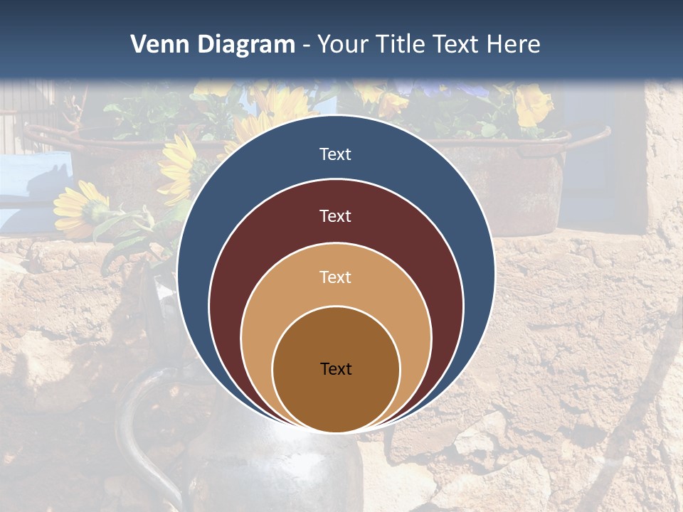 Ute Latendorf PowerPoint Template