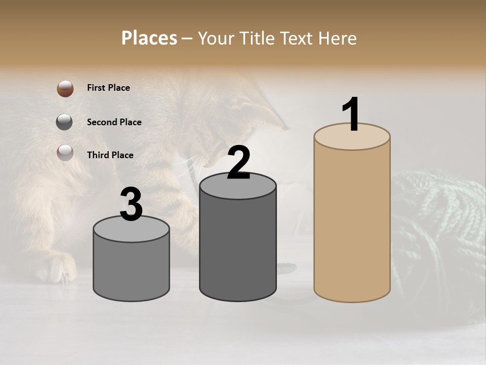 Tabby Kitten PowerPoint Template