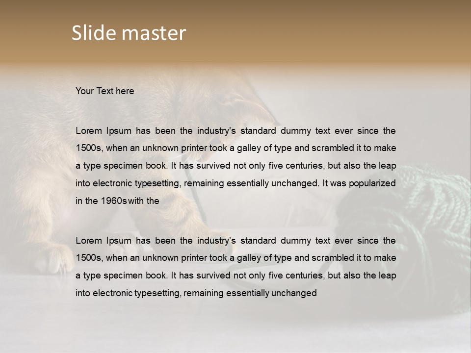 Tabby Kitten PowerPoint Template