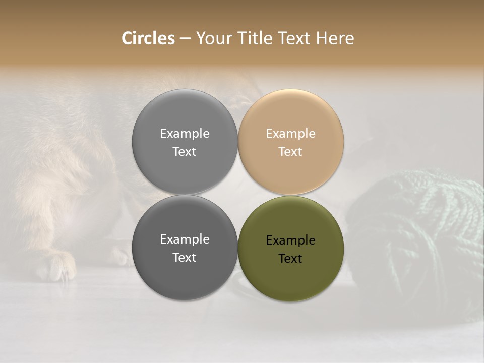 Tabby Kitten PowerPoint Template