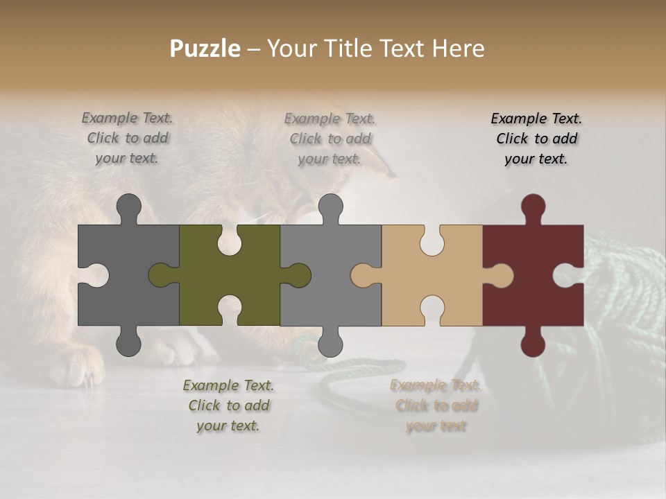 Tabby Kitten PowerPoint Template