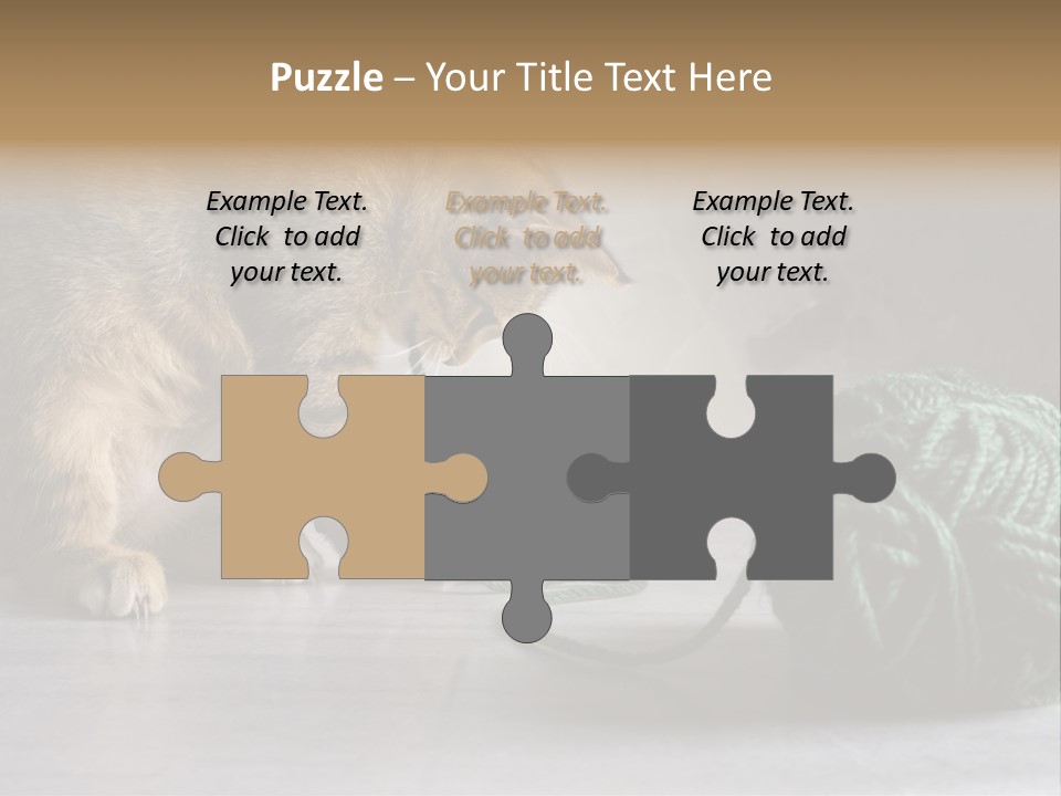 Tabby Kitten PowerPoint Template