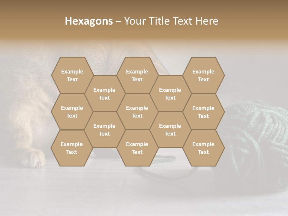 Tabby Kitten PowerPoint Template