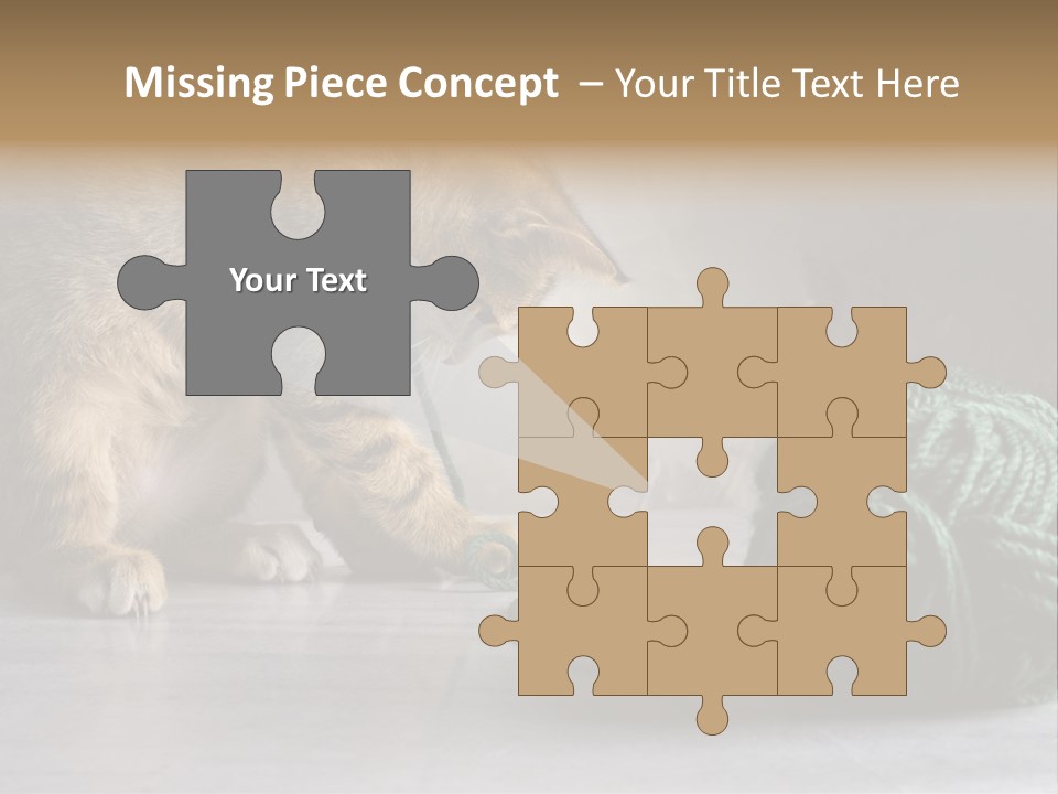 Tabby Kitten PowerPoint Template