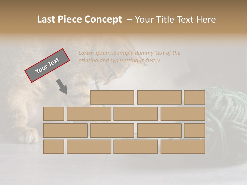 Tabby Kitten PowerPoint Template