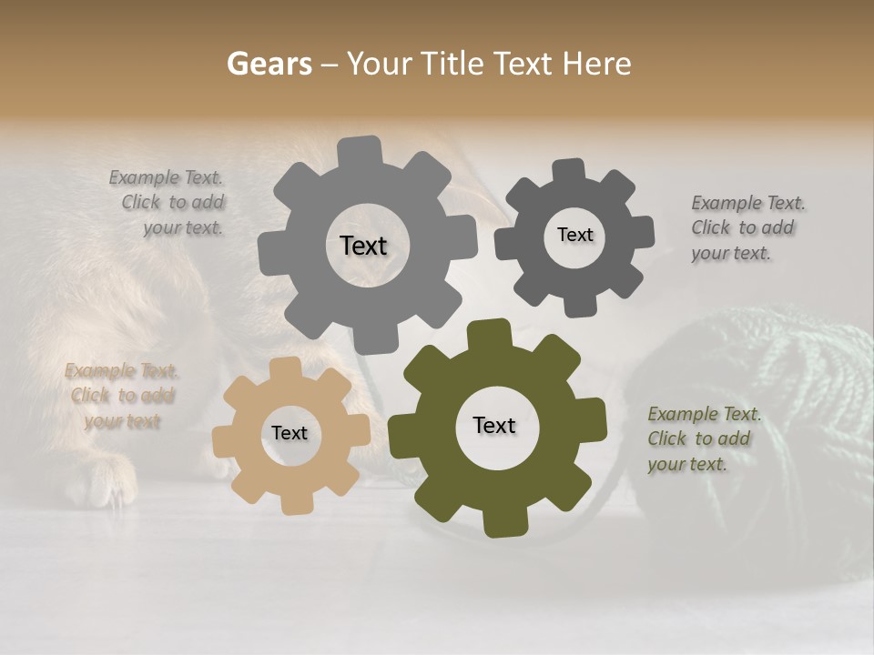 Tabby Kitten PowerPoint Template