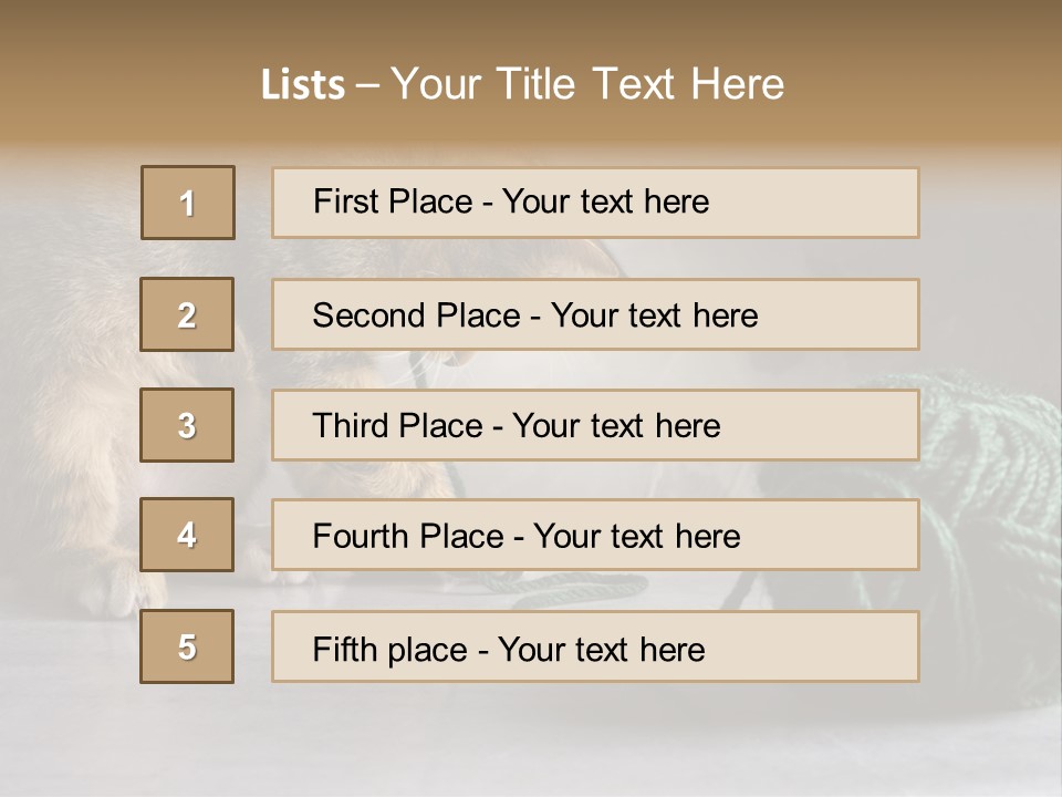 Tabby Kitten PowerPoint Template