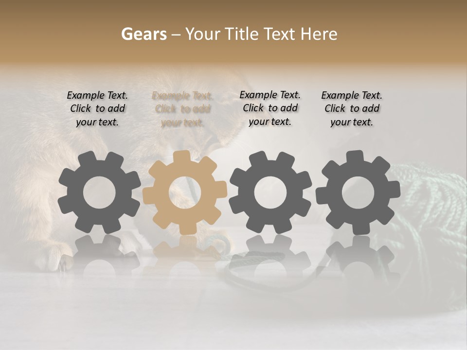 Tabby Kitten PowerPoint Template