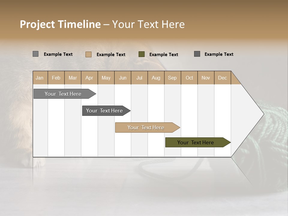 Tabby Kitten PowerPoint Template