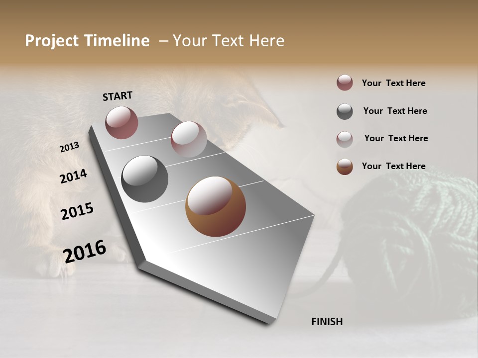 Tabby Kitten PowerPoint Template