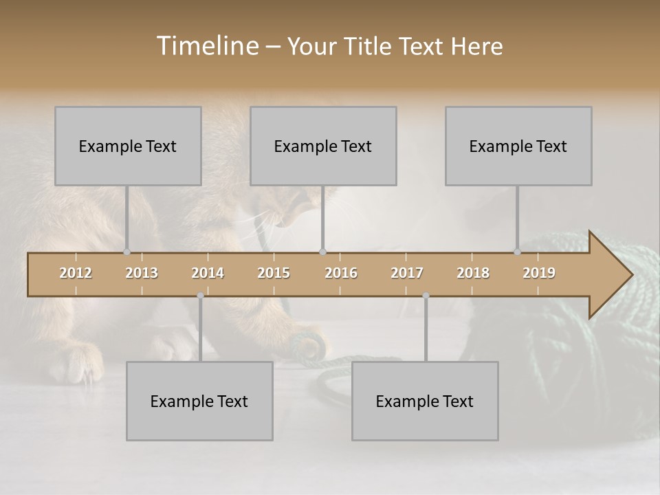 Tabby Kitten PowerPoint Template