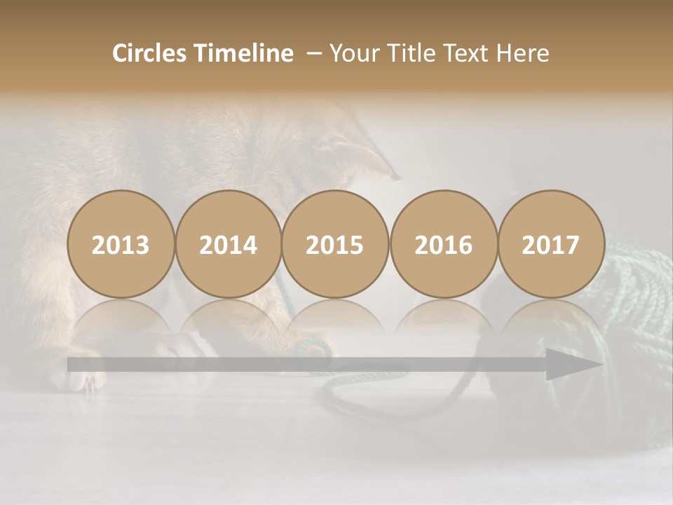 Tabby Kitten PowerPoint Template