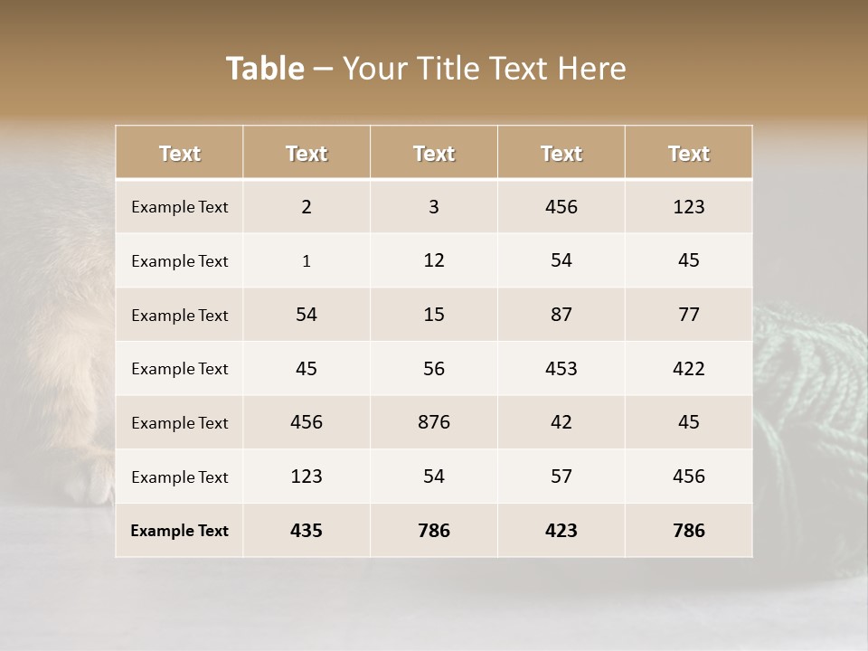 Tabby Kitten PowerPoint Template