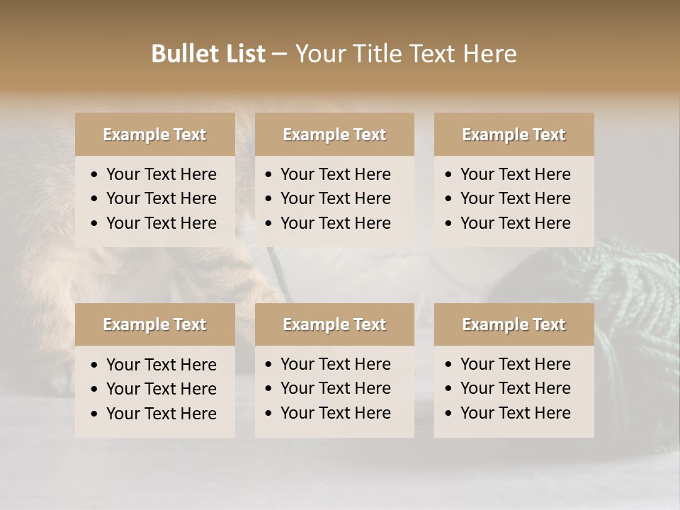 Tabby Kitten PowerPoint Template