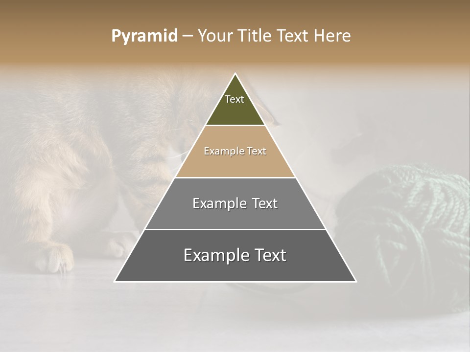 Tabby Kitten PowerPoint Template