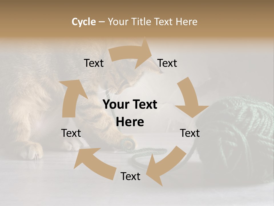 Tabby Kitten PowerPoint Template