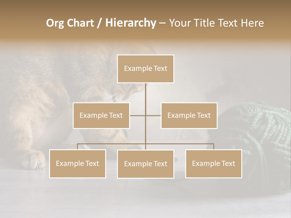 Tabby Kitten PowerPoint Template