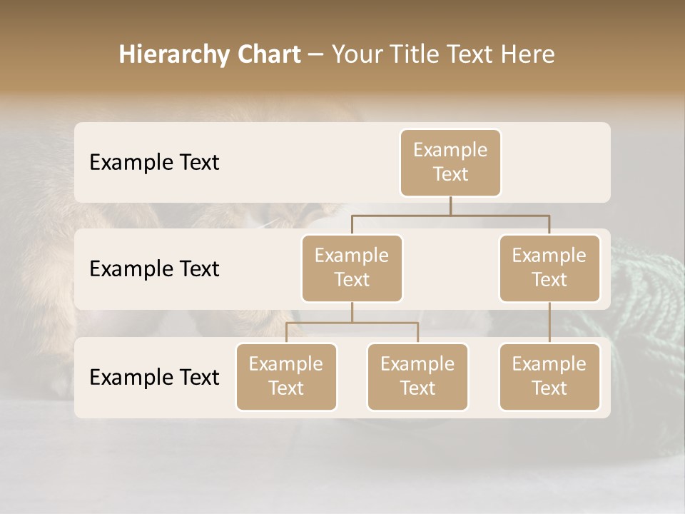 Tabby Kitten PowerPoint Template