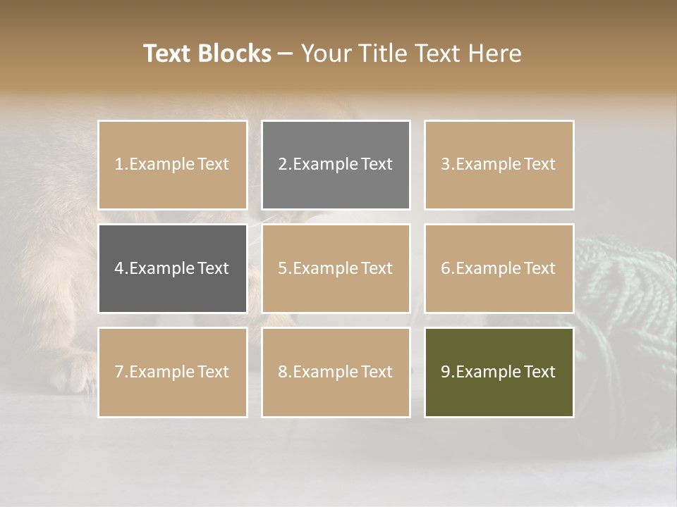 Tabby Kitten PowerPoint Template