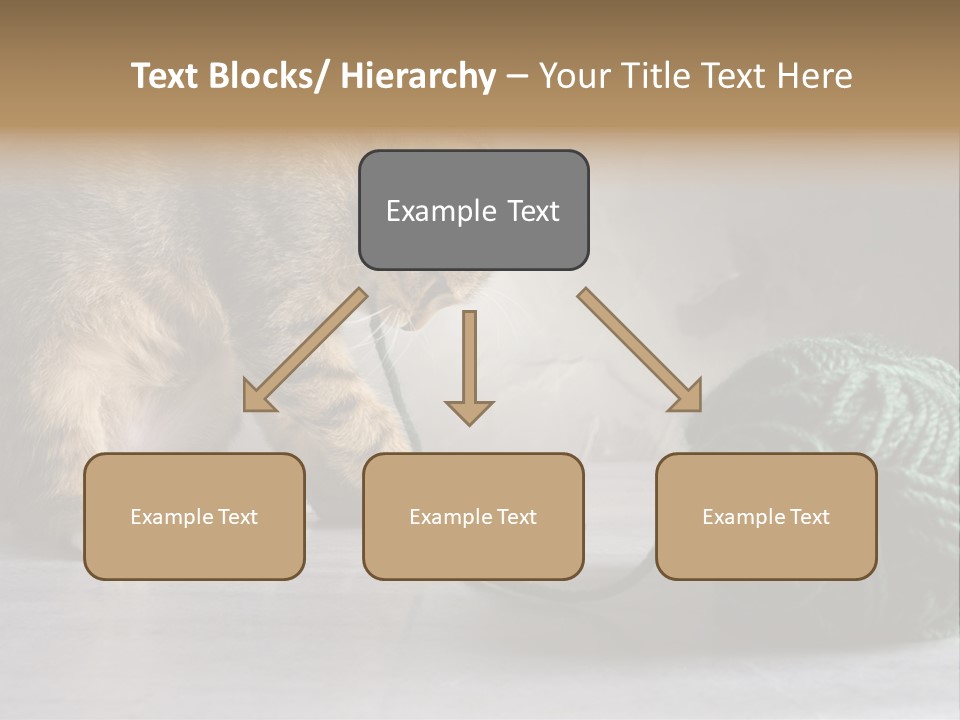 Tabby Kitten PowerPoint Template