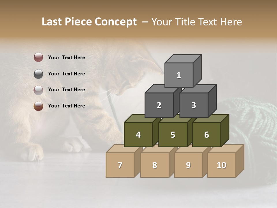 Tabby Kitten PowerPoint Template