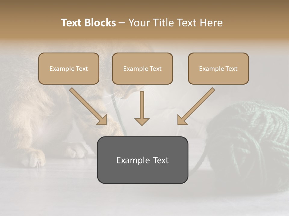 Tabby Kitten PowerPoint Template