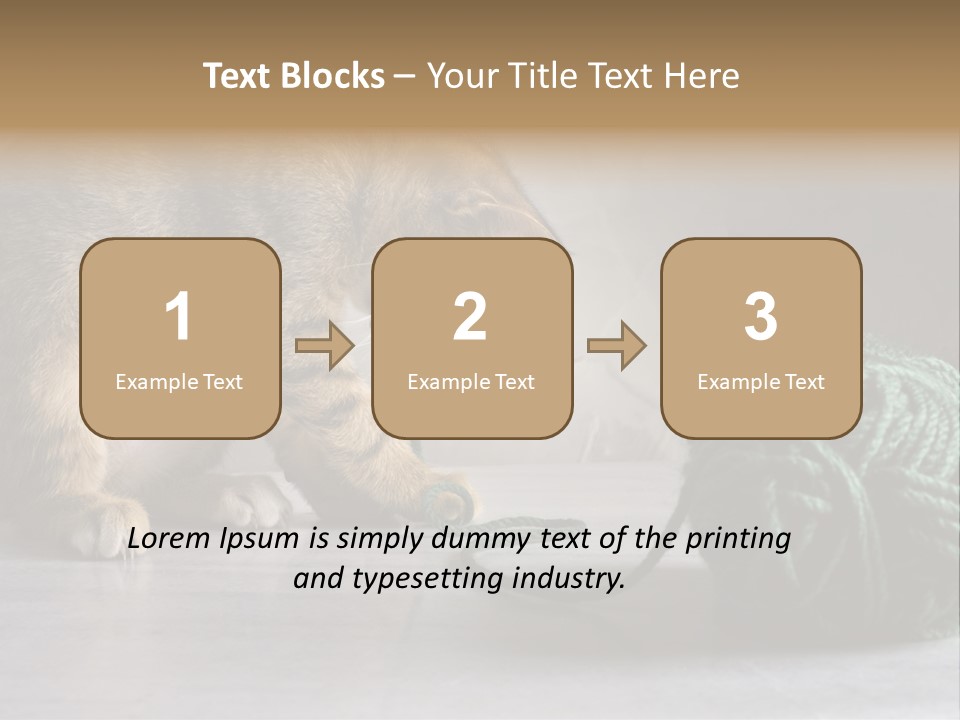 Tabby Kitten PowerPoint Template