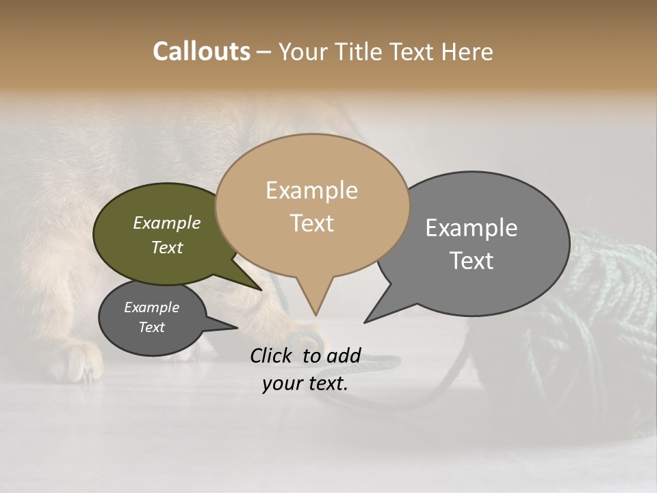 Tabby Kitten PowerPoint Template