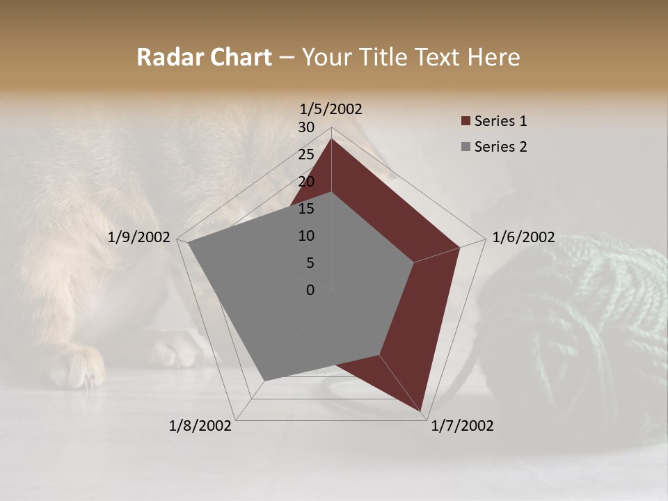Tabby Kitten PowerPoint Template
