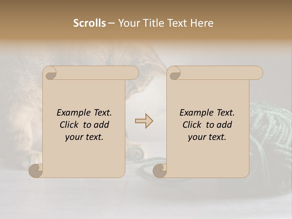 Tabby Kitten PowerPoint Template