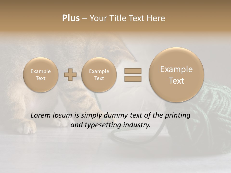 Tabby Kitten PowerPoint Template