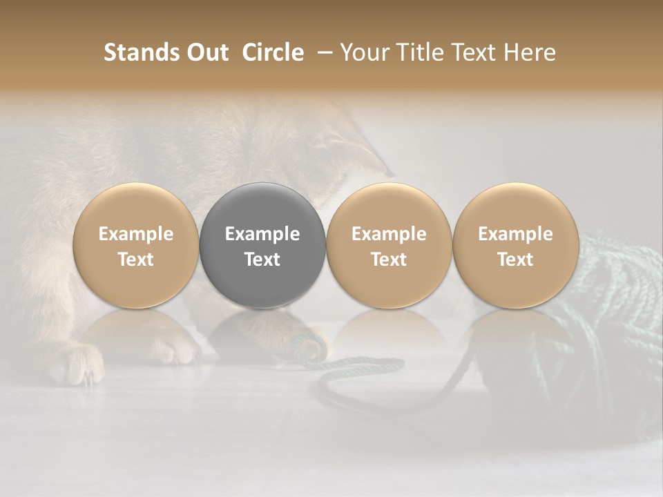 Tabby Kitten PowerPoint Template