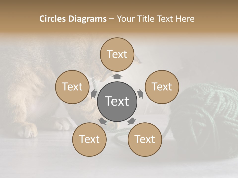 Tabby Kitten PowerPoint Template