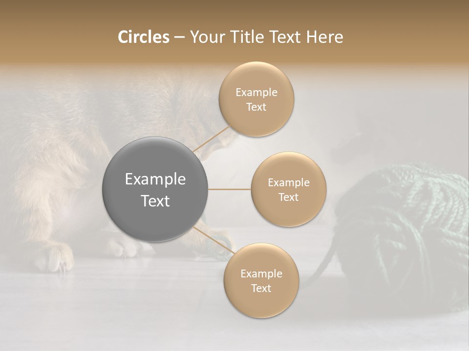 Tabby Kitten PowerPoint Template