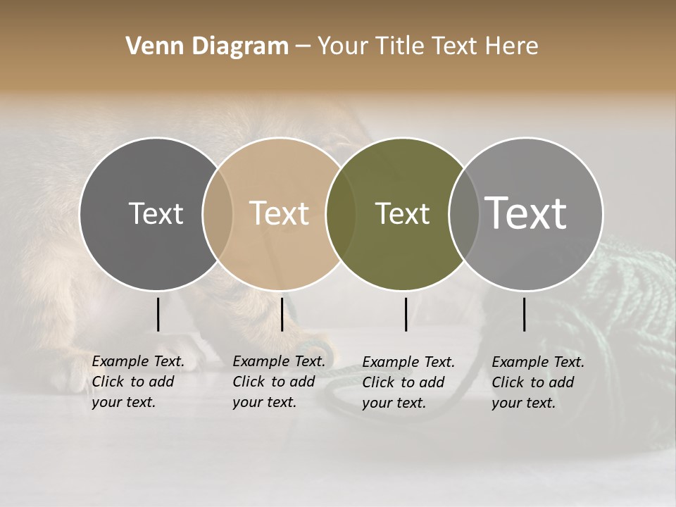 Tabby Kitten PowerPoint Template