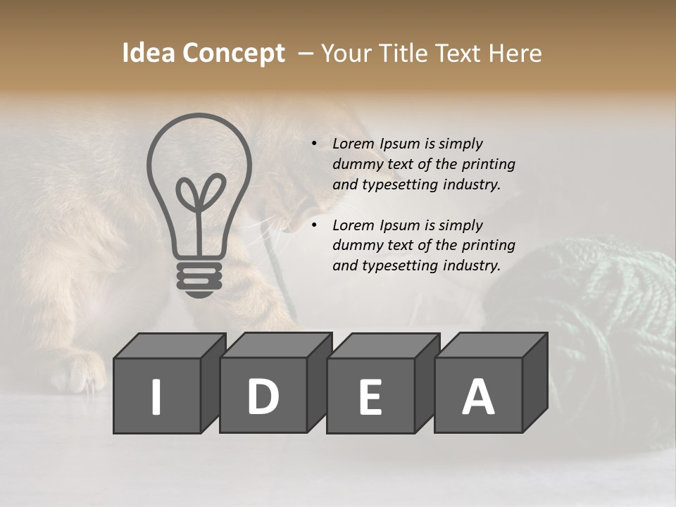 Tabby Kitten PowerPoint Template